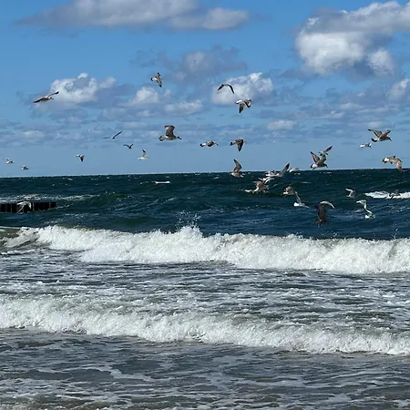 Mellow Pogorzelica (Gmina Rewal)