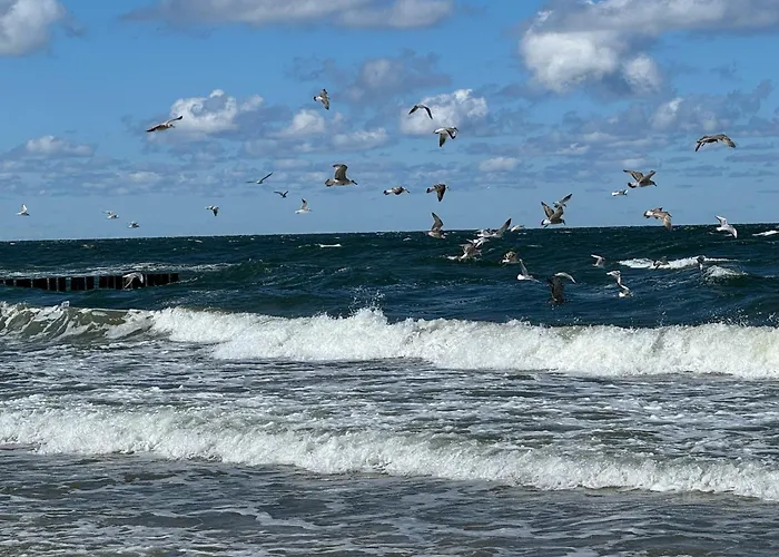 Mellow Pogorzelica (Gmina Rewal)